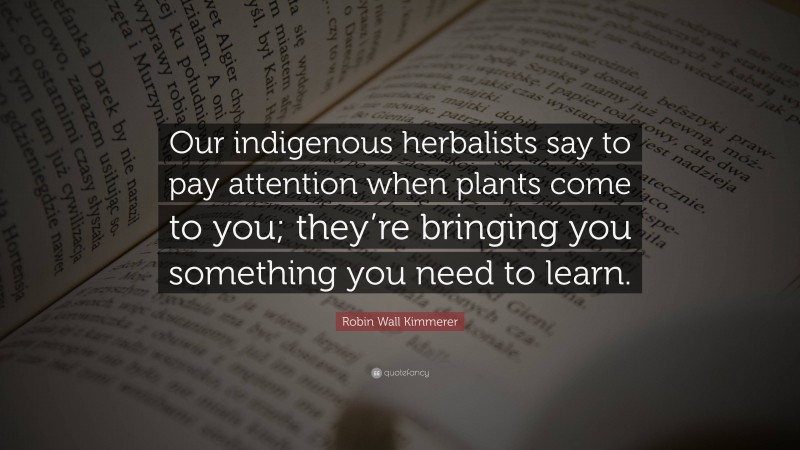 Robin Wall Kimmerer Quote: “Our indigenous herbalists say to pay attention when plants come to you; they’re bringing you something you need to learn.”