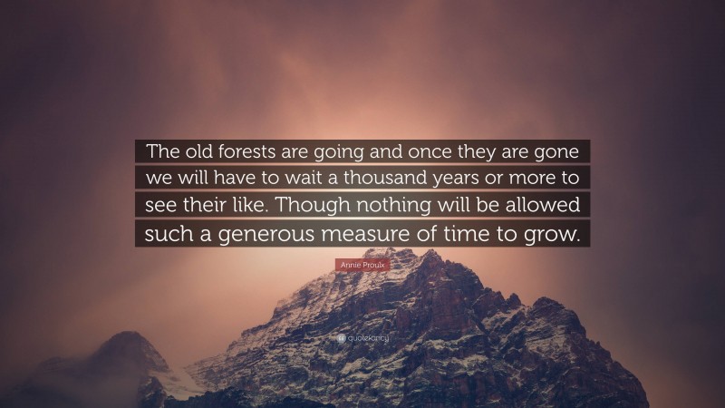Annie Proulx Quote: “The old forests are going and once they are gone we will have to wait a thousand years or more to see their like. Though nothing will be allowed such a generous measure of time to grow.”