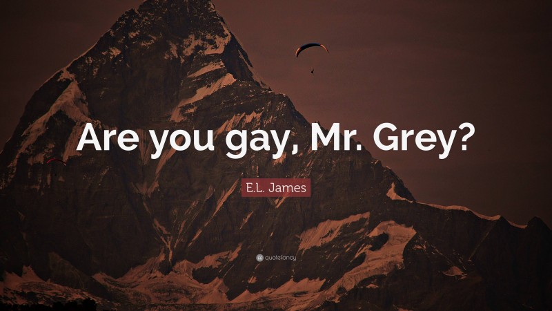 E.L. James Quote: “Are you gay, Mr. Grey?”
