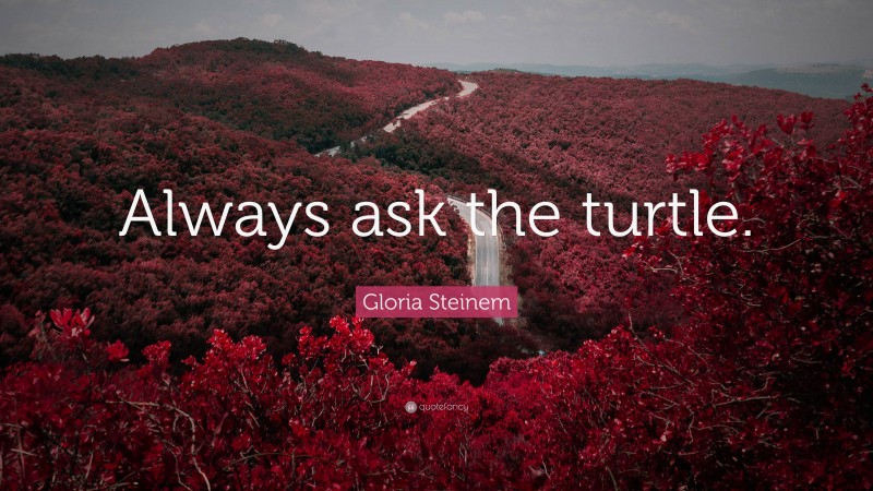 Gloria Steinem Quote: “Always ask the turtle.”
