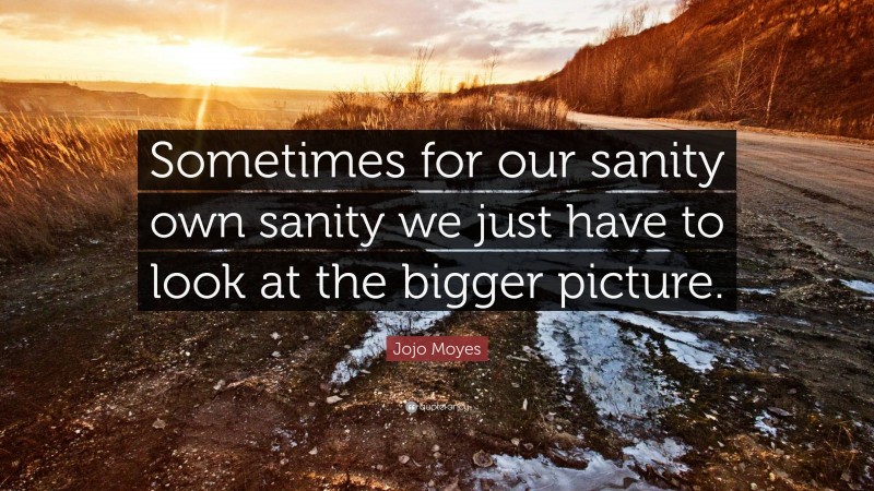 Jojo Moyes Quote: “Sometimes for our sanity own sanity we just have to look at the bigger picture.”