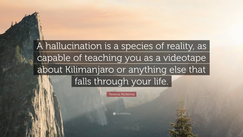 Terence McKenna Quote: “A hallucination is a species of reality, as capable of teaching you as a videotape about Kilimanjaro or anything else that falls through your life.”