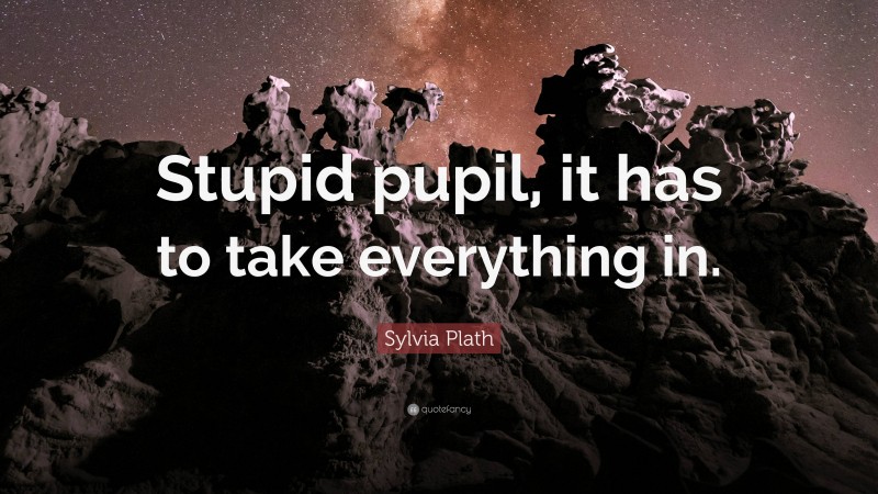 Sylvia Plath Quote: “Stupid pupil, it has to take everything in.”