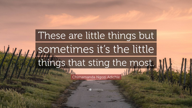 Chimamanda Ngozi Adichie Quote: “These are little things but sometimes it’s the little things that sting the most.”