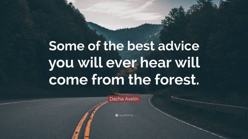 Dacha Avelin Quote: “Some of the best advice you will ever hear will come from the forest.”
