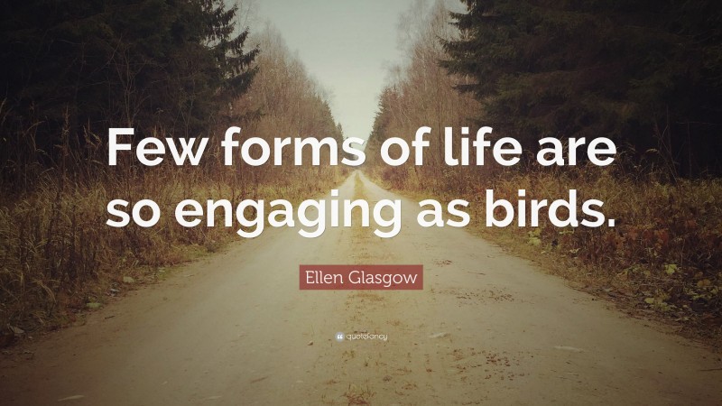Ellen Glasgow Quote: “Few forms of life are so engaging as birds.”