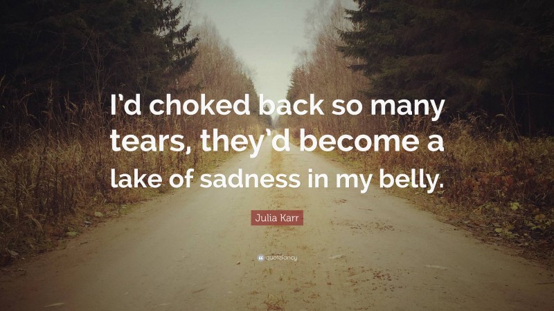 Julia Karr Quote: “I’d choked back so many tears, they’d become a lake of sadness in my belly.”