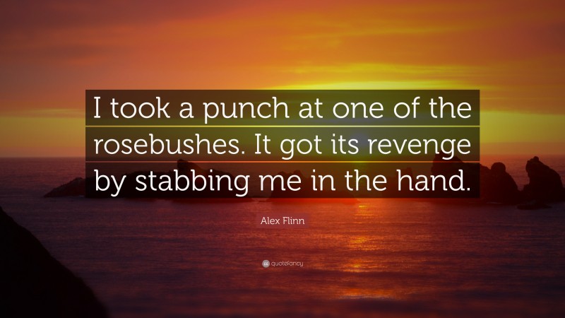 Alex Flinn Quote: “I took a punch at one of the rosebushes. It got its revenge by stabbing me in the hand.”