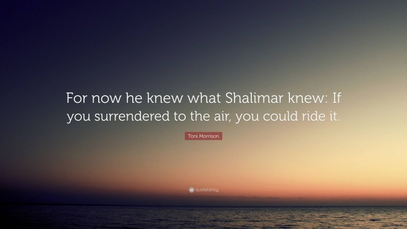 Toni Morrison Quote: “For now he knew what Shalimar knew: If you surrendered to the air, you could ride it.”
