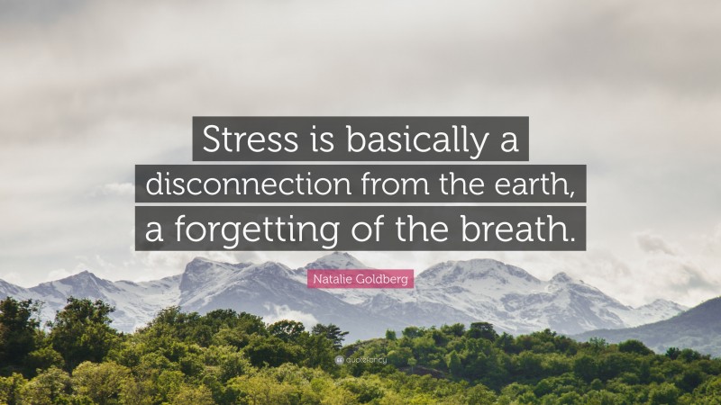 Natalie Goldberg Quote: “Stress is basically a disconnection from the earth, a forgetting of the breath.”