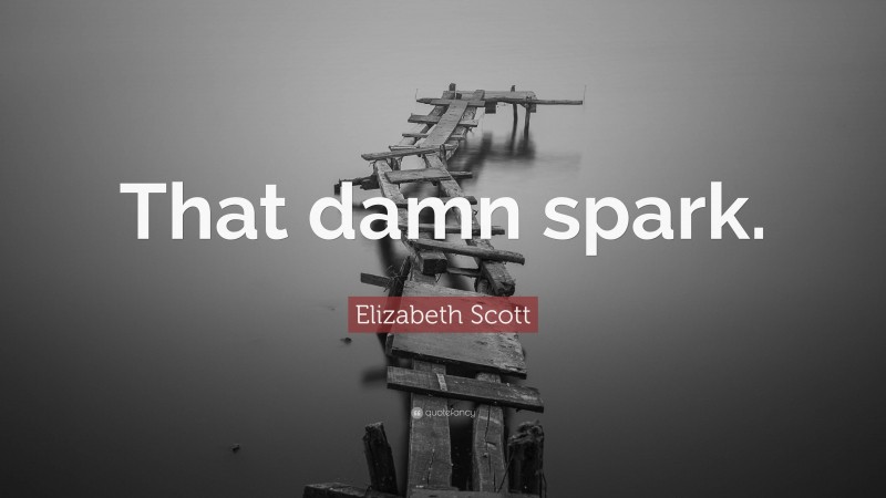 Elizabeth Scott Quote: “That damn spark.”