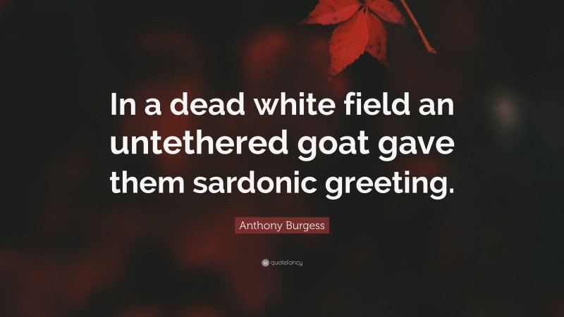 Anthony Burgess Quote: “In a dead white field an untethered goat gave them sardonic greeting.”