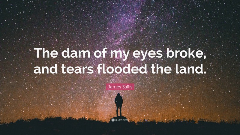 James Sallis Quote: “The dam of my eyes broke, and tears flooded the land.”