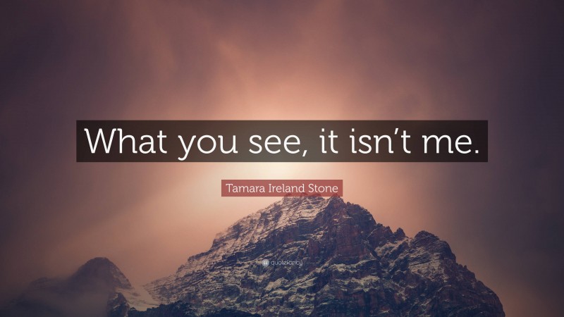 Tamara Ireland Stone Quote: “What you see, it isn’t me.”