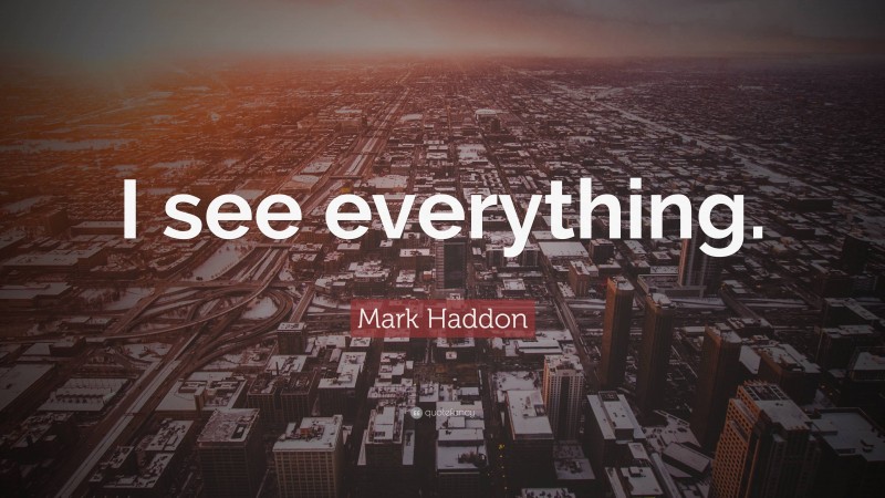 Mark Haddon Quote: “I see everything.”