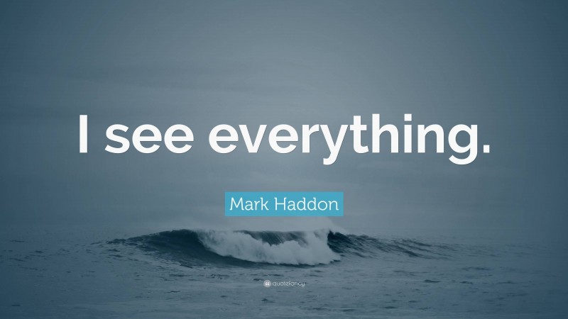 Mark Haddon Quote: “I see everything.”