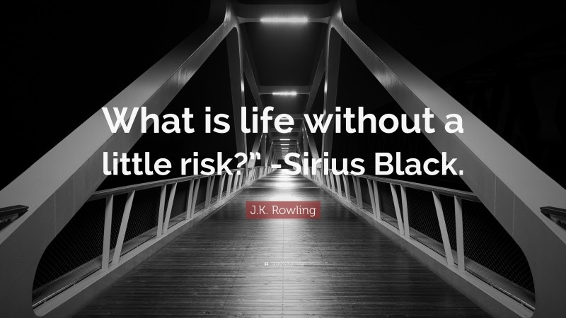 J.K. Rowling Quote: “What is life without a little risk?” -Sirius Black.”