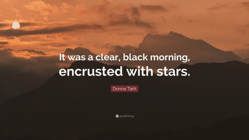 Donna Tartt Quote: “It was a clear, black morning, encrusted with stars.”