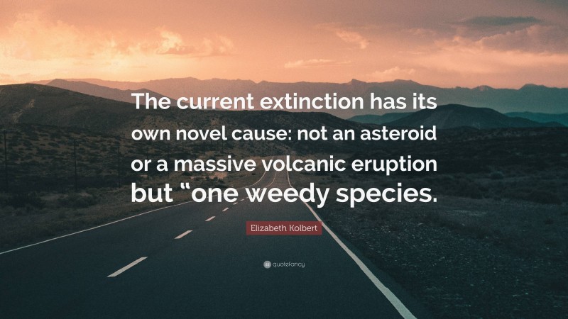 Elizabeth Kolbert Quote: “The current extinction has its own novel cause: not an asteroid or a massive volcanic eruption but “one weedy species.”