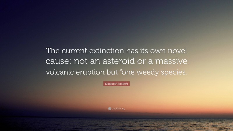 Elizabeth Kolbert Quote: “The current extinction has its own novel cause: not an asteroid or a massive volcanic eruption but “one weedy species.”