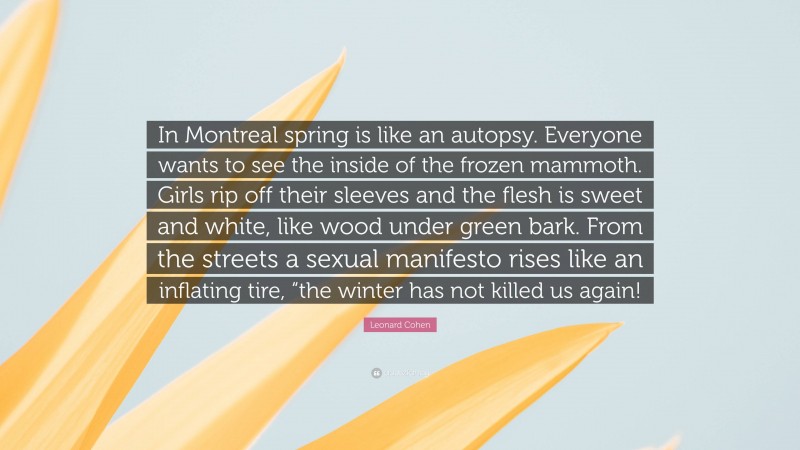 Leonard Cohen Quote: “In Montreal spring is like an autopsy. Everyone wants to see the inside of the frozen mammoth. Girls rip off their sleeves and the flesh is sweet and white, like wood under green bark. From the streets a sexual manifesto rises like an inflating tire, “the winter has not killed us again!”