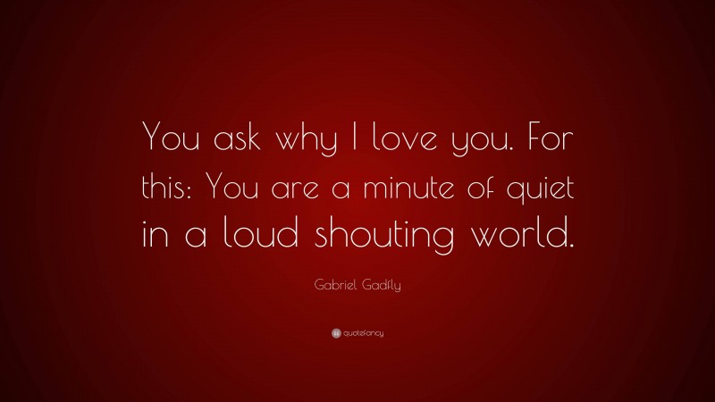 Gabriel Gadfly Quote: “You ask why I love you. For this: You are a minute of quiet in a loud shouting world.”