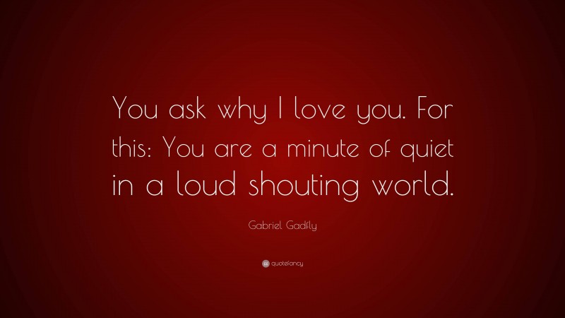 Gabriel Gadfly Quote: “You ask why I love you. For this: You are a minute of quiet in a loud shouting world.”