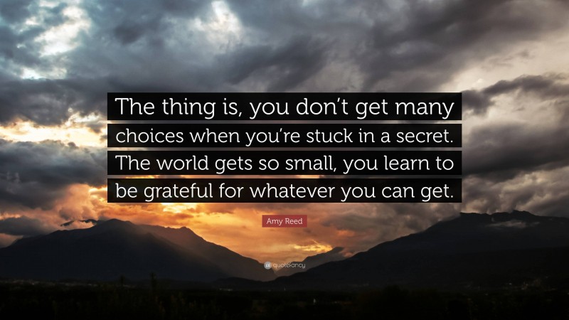 Amy Reed Quote: “The thing is, you don’t get many choices when you’re stuck in a secret. The world gets so small, you learn to be grateful for whatever you can get.”