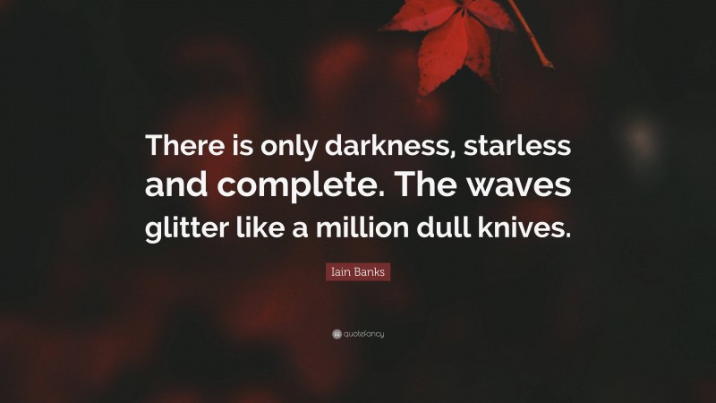 Iain Banks Quote: “There is only darkness, starless and complete. The waves glitter like a million dull knives.”