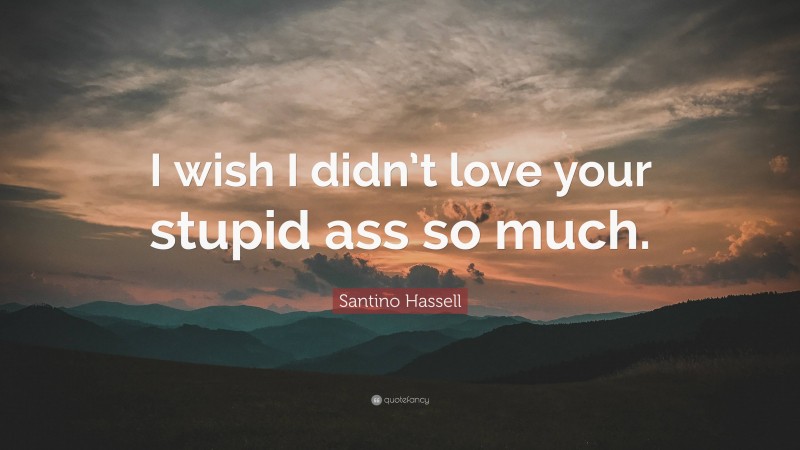 Santino Hassell Quote: “I wish I didn’t love your stupid ass so much.”