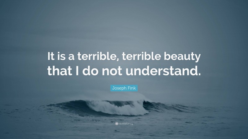 Joseph Fink Quote: “It is a terrible, terrible beauty that I do not understand.”