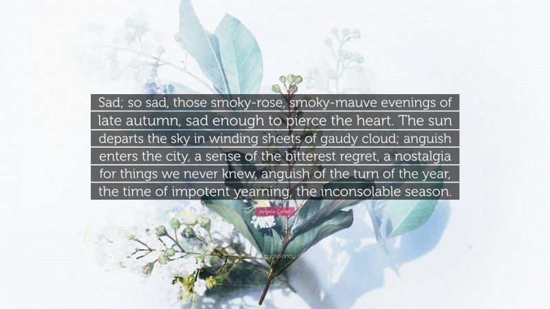 Angela Carter Quote: “Sad; so sad, those smoky-rose, smoky-mauve evenings of late autumn, sad enough to pierce the heart. The sun departs the sky in winding sheets of gaudy cloud; anguish enters the city, a sense of the bitterest regret, a nostalgia for things we never knew, anguish of the turn of the year, the time of impotent yearning, the inconsolable season.”