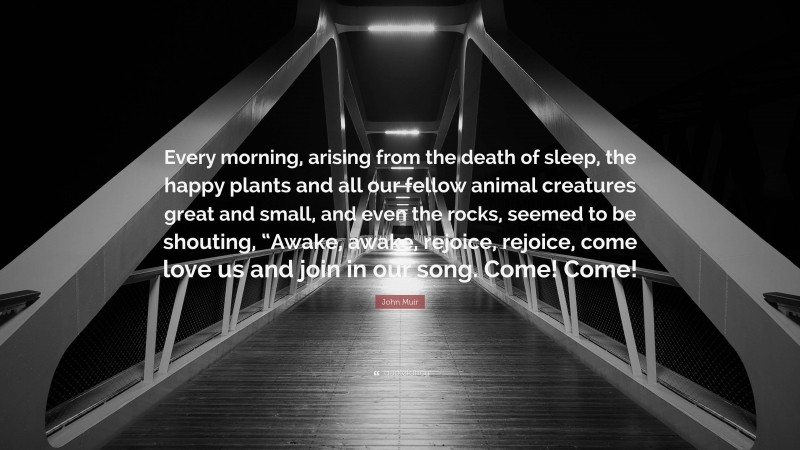 John Muir Quote: “Every morning, arising from the death of sleep, the happy plants and all our fellow animal creatures great and small, and even the rocks, seemed to be shouting, “Awake, awake, rejoice, rejoice, come love us and join in our song. Come! Come!”