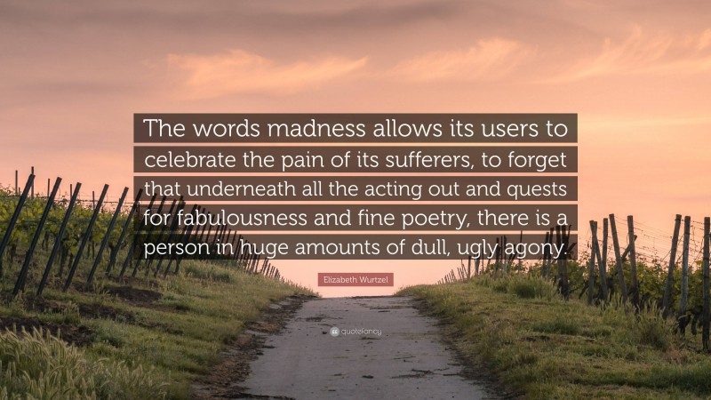 Elizabeth Wurtzel Quote: “The words madness allows its users to celebrate the pain of its sufferers, to forget that underneath all the acting out and quests for fabulousness and fine poetry, there is a person in huge amounts of dull, ugly agony.”