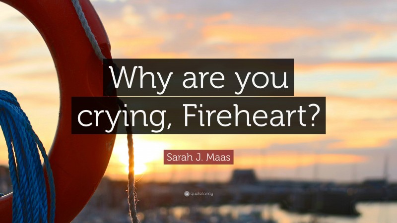 Sarah J. Maas Quote: “Why are you crying, Fireheart?”