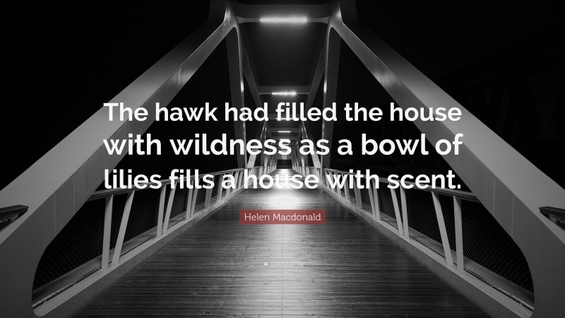 Helen Macdonald Quote: “The hawk had filled the house with wildness as a bowl of lilies fills a house with scent.”