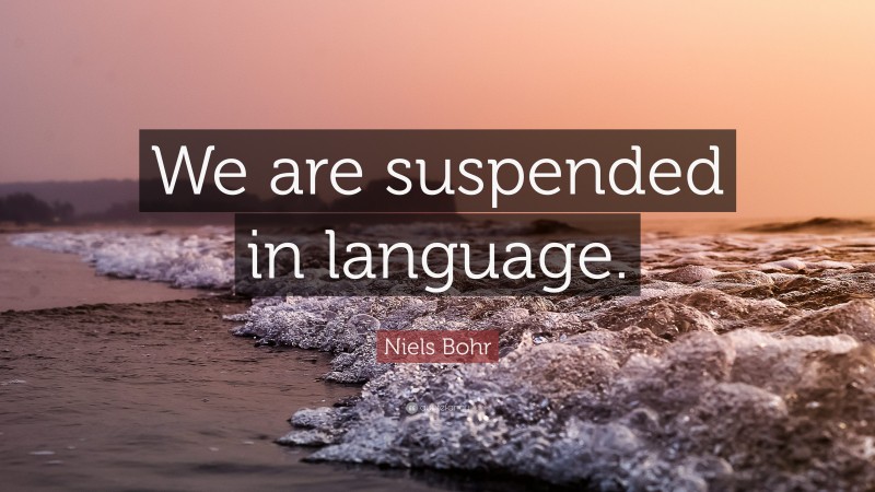 Niels Bohr Quote: “We are suspended in language.”