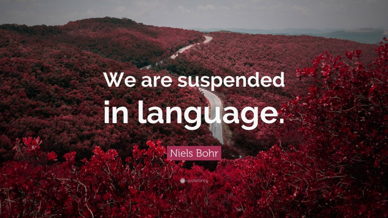 Niels Bohr Quote: “We are suspended in language.”