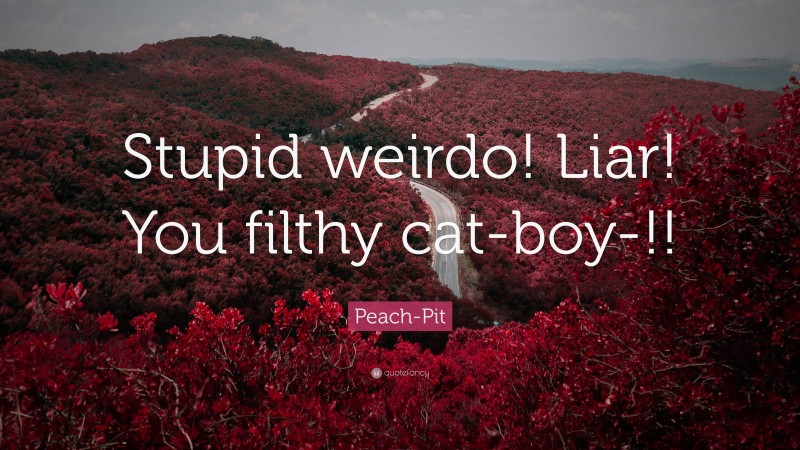Peach-Pit Quote: “Stupid weirdo! Liar! You filthy cat-boy-!!”