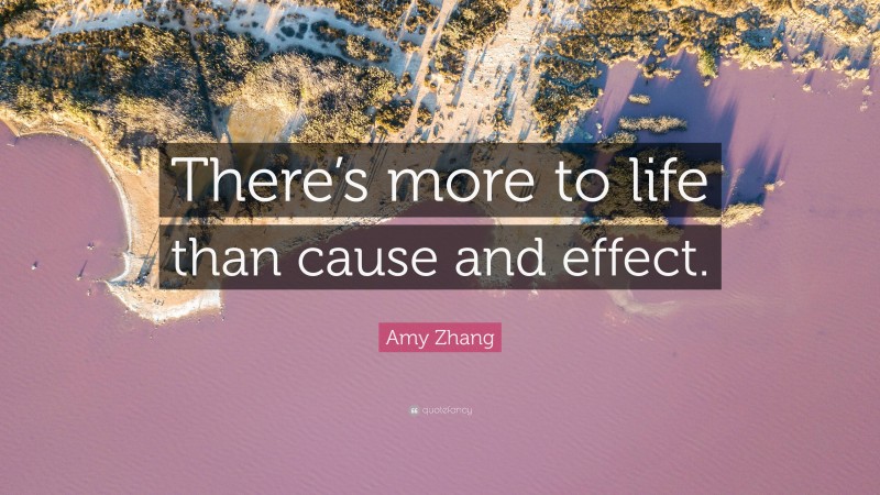 Amy Zhang Quote: “There’s more to life than cause and effect.”