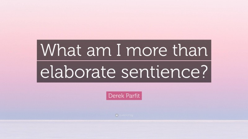 Derek Parfit Quote: “What am I more than elaborate sentience?”
