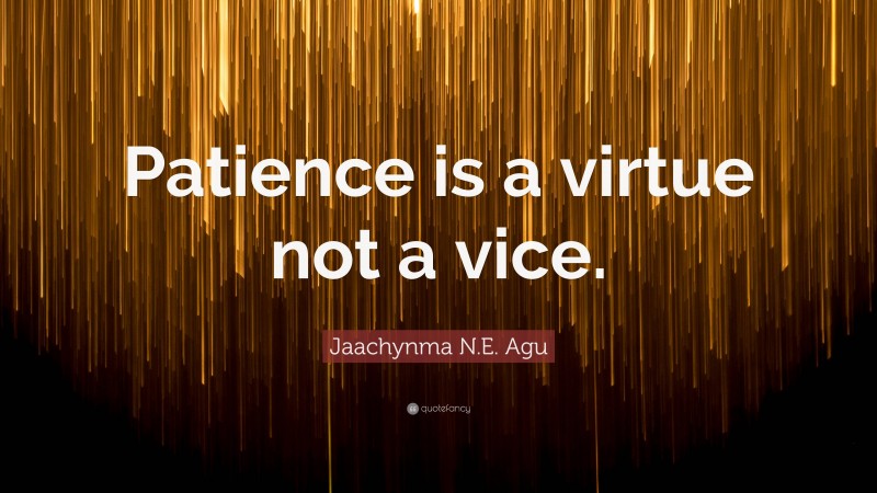 Jaachynma N.E. Agu Quote: “Patience is a virtue not a vice.”