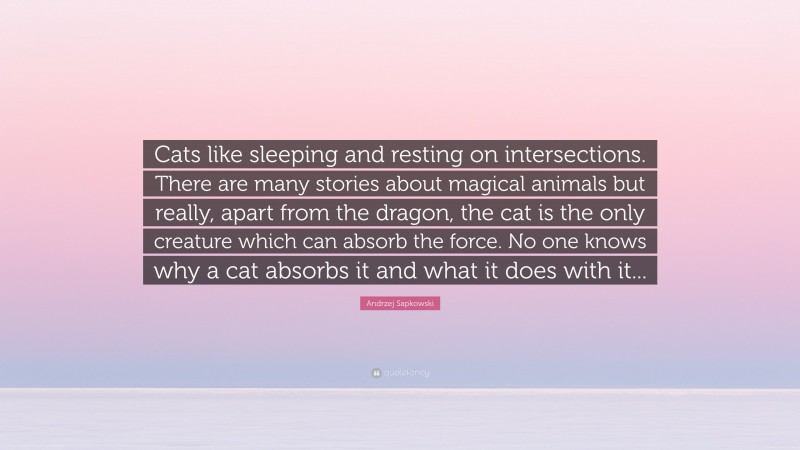 Andrzej Sapkowski Quote: “Cats like sleeping and resting on intersections. There are many stories about magical animals but really, apart from the dragon, the cat is the only creature which can absorb the force. No one knows why a cat absorbs it and what it does with it...”