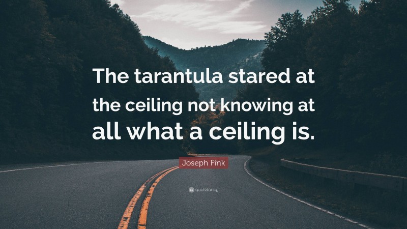 Joseph Fink Quote: “The tarantula stared at the ceiling not knowing at all what a ceiling is.”