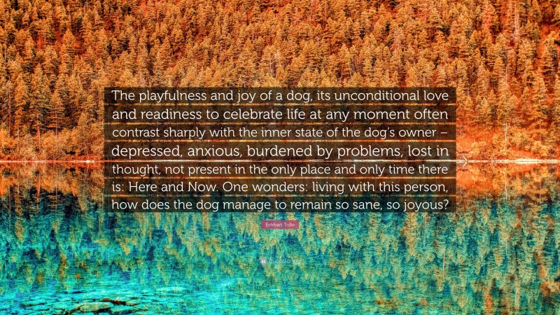 Eckhart Tolle Quote: “The playfulness and joy of a dog, its unconditional love and readiness to celebrate life at any moment often contrast sharply with the inner state of the dog’s owner – depressed, anxious, burdened by problems, lost in thought, not present in the only place and only time there is: Here and Now. One wonders: living with this person, how does the dog manage to remain so sane, so joyous?”