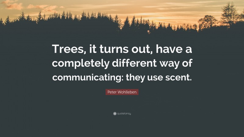 Peter Wohlleben Quote: “Trees, it turns out, have a completely different way of communicating: they use scent.”