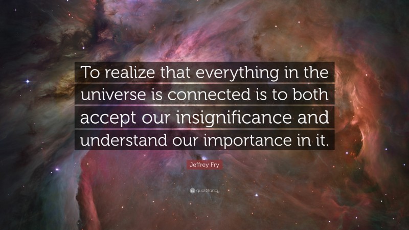 Jeffrey Fry Quote: “To realize that everything in the universe is connected is to both accept our insignificance and understand our importance in it.”