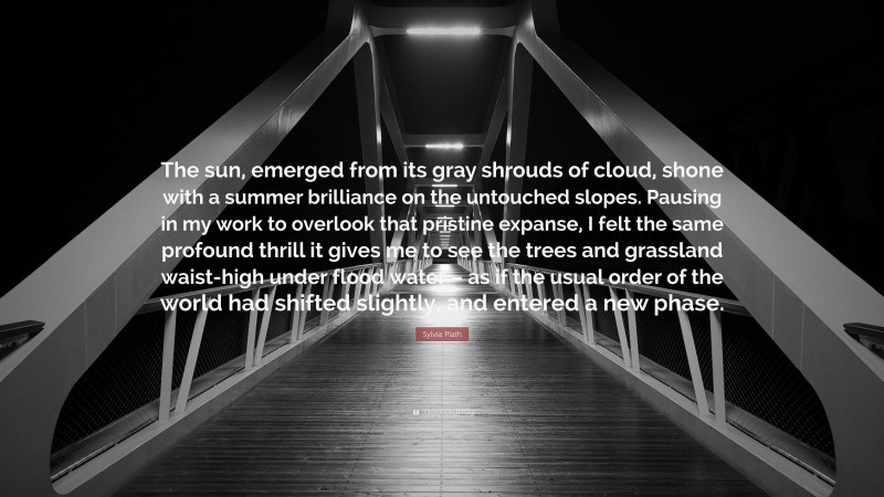 Sylvia Plath Quote: “The sun, emerged from its gray shrouds of cloud, shone with a summer brilliance on the untouched slopes. Pausing in my work to overlook that pristine expanse, I felt the same profound thrill it gives me to see the trees and grassland waist-high under flood water – as if the usual order of the world had shifted slightly, and entered a new phase.”