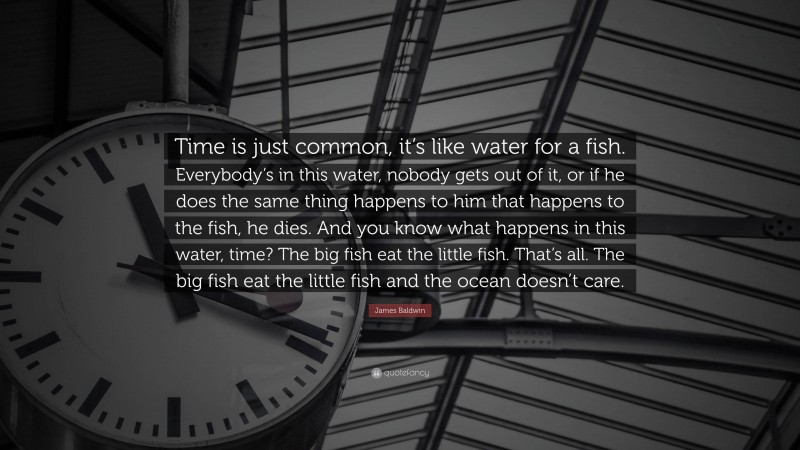 James Baldwin Quote: “Time is just common, it’s like water for a fish. Everybody’s in this water, nobody gets out of it, or if he does the same thing happens to him that happens to the fish, he dies. And you know what happens in this water, time? The big fish eat the little fish. That’s all. The big fish eat the little fish and the ocean doesn’t care.”