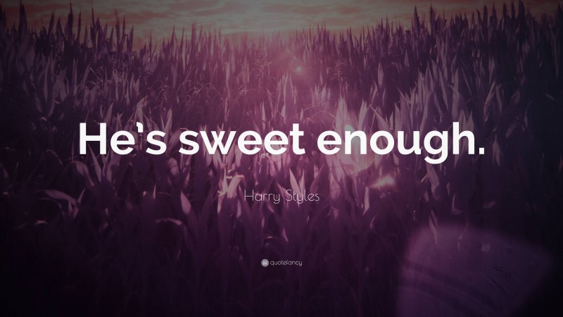 Harry Styles Quote: “He’s sweet enough.”